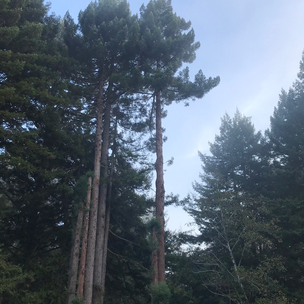 Meet your Posher, Kimberlee